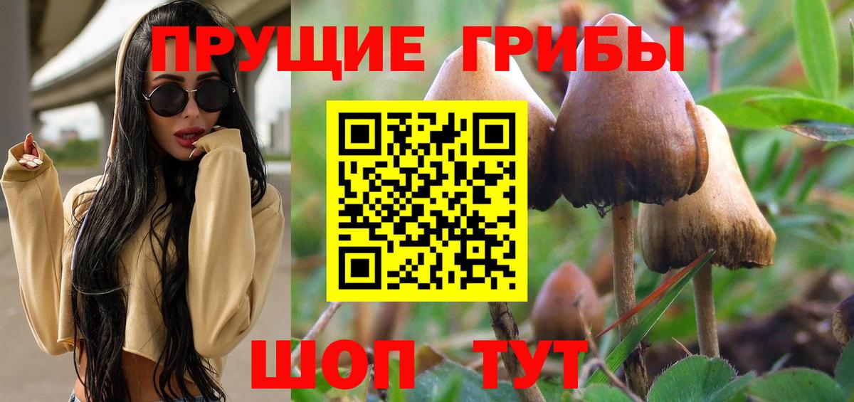 Псилоцибиновые грибы Psilocybe  Псилоцибиновые грибы мицелий  Ефремов  Вход с VPN 