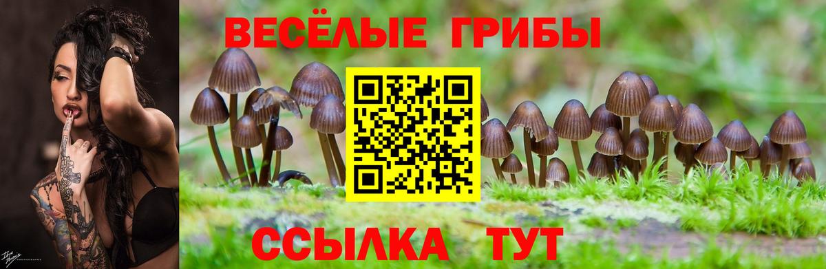 Псилоцибиновые грибы ЛСД Ефремов